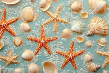 Poster - A collection of starfish and shells on a bright blue surface
