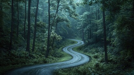 Wall Mural - A scenic winding road surrounded by dense forest trees and foliage, ideal for travel or adventure photography