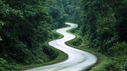 Poster - Winding road through dense forest, perfect for outdoor adventure or travel photography