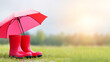 © Bonsales - Red rubber boots and umbrella standing on grass at sunset after rain, representing protection and weather changes