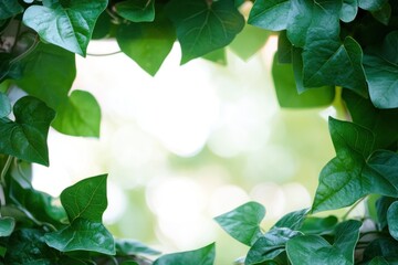 Poster - Green leaves frame a blurred natural background.