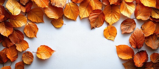 Poster - Autumn Leaves Forming a Frame on a White Background