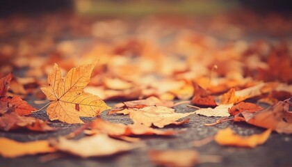 Poster - Close-Up of Fallen Autumn Leaves on a Path