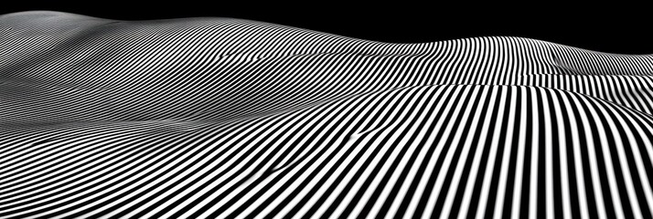 Poster - Black and White Striped Surface with Wavy Texture