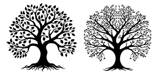 Wall Mural - set of tree silhouettes with branches in black vector 