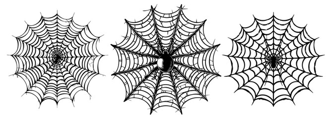 Detailed spider web with central spider – black vector art