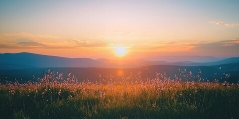 Poster - Sunset over a field of flowers with mountains in the distance.