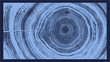 © CaptureAndCompose - Blue monotone close up of vintage end grain of wood slab. Tree rings art with texture and cracked surface.