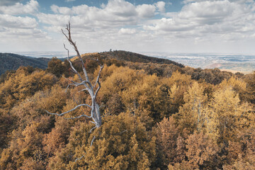 Wall Mural - The wilderness park offers a beautiful autumn view, with green and orange leaves spreading across the mountains and valleys