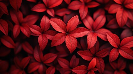 Sticker - Rich red foliage, lush leaves texture.