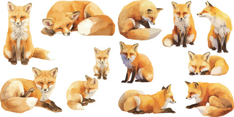 Wall Mural - fox watercolor clipart