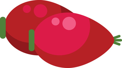 Poster - simple illustration of two whole rose hips laying next to each other, isolated on white background