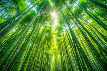 Wall Mural - Serene Long Exposure in the Lush Green Bamboo Forest Capturing Nature's Tranquility and Movement Through Gentle Breezes and Soft Light Filtering Through the Tall Stalks