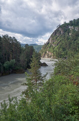 Wall Mural - Altai river Katun near village Chemal.