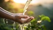 © MRSUTIN - A pair of hands are holding a flowing stream of clear water amidst a natural green background and sunlight.