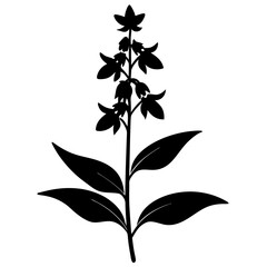 Wall Mural - flowers isolated on white