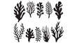 © ibrahim - Abstract Algae seaweed shapes. Seaweed big set in silhouette style. Collection of black underwater plants