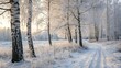 © Chanchai - The snow-covered ground beneath the birch trees is blanketed with a layer of frost giving the forest floor an ethereal glow, frozen, birch forest, frost, cold weather
