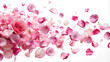 © KingKongThePitbull - Close up - Pink roses petals in air, beautiful floral flying, on isolate white background, Clipping path