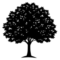 Wall Mural - silhouette of tree