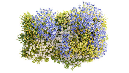 top view group of evergreen colorful flowers and grass field in nature with isolated on transparent 