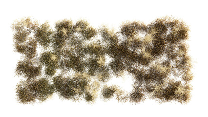 Wall Mural - top view of 3d render various types of flowers, grass, bushes, shrub, stone, and small plants on tra