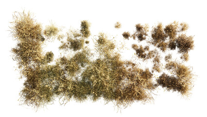 Wall Mural - top view of 3d render various types of flowers, grass, bushes, shrub, stone, and small plants on tra