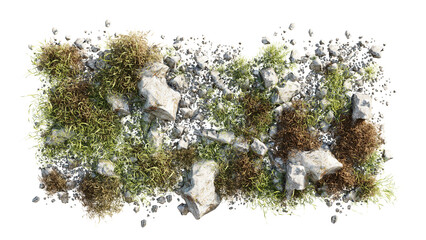 Wall Mural - top view of 3d render various types of flowers, grass, bushes, shrub, stone, and small plants on tra