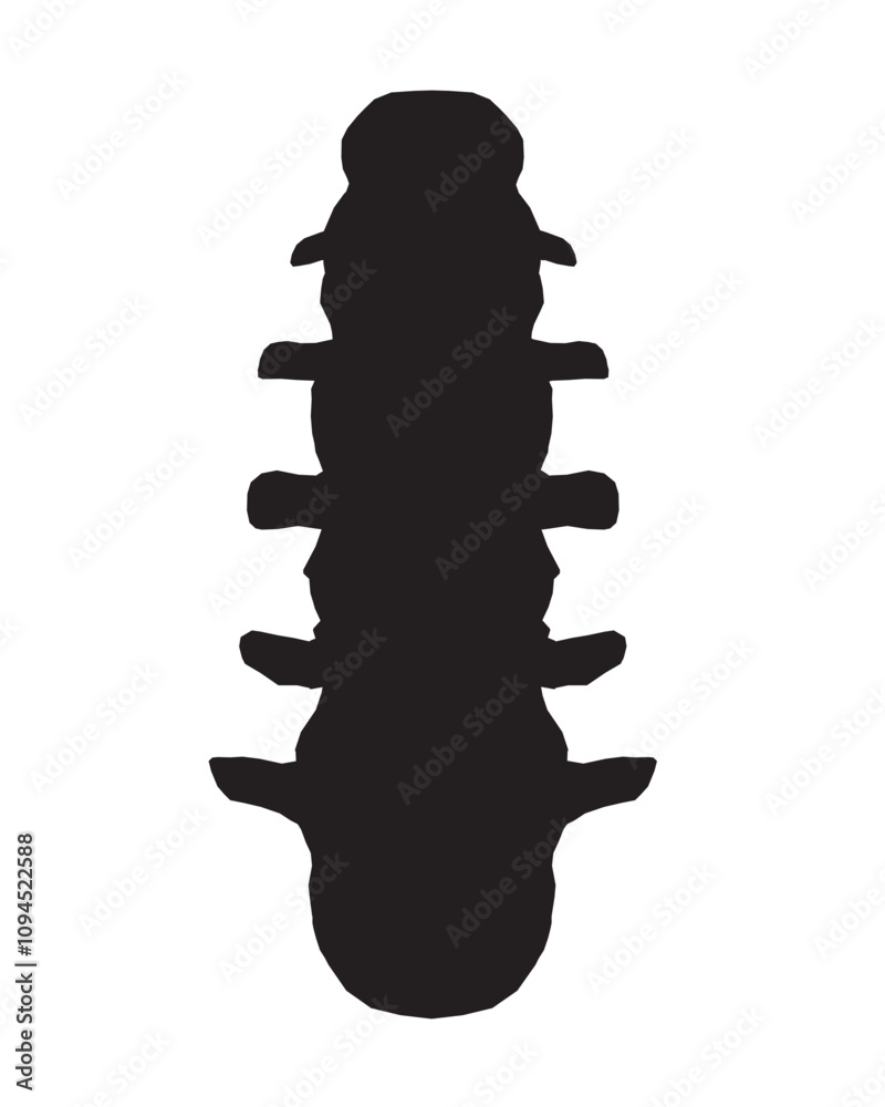 Silhouette Anatomy of normal human Disc. Illustration of Medical diagram about the spine in top view for check disc herniation. nucleus pulposus, annulus fibrosis.
