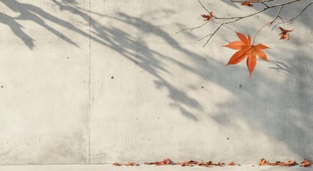 Poster - Autumn leaves casting shadows on a textured wall in soft sunlight