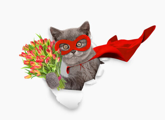 Aufkleber - Cute kitten wearing superhero costume looking through the hole in white paper and holding bouquet of tulips