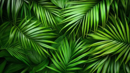 Poster - A lush green leafy plant with many leaves. The leaves are green and appear to be healthy