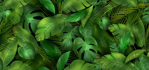 3D leaves background. Exotic forest, jungle pattern. Banana leaf, Monstera and palm trees. Summer spa plant texture is seamless, green color. Realistic isolated elements. Vector wallpaper design