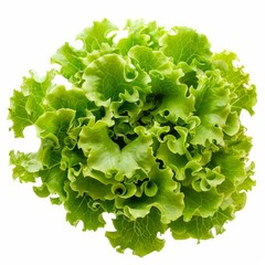 Poster - Close up of a head of fresh green lettuce, highlighting its vibrant color, texture, and intricate leaf patterns