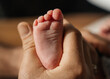 © Elena - A close-up of a newborn baby's foot in the hands of dad and mom