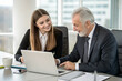 © Andrei - Team of two executives working together using laptop in office.