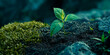 © agrus_aiart - Green seedling, concept of new life and investment in early stage of life
