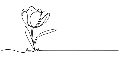 Fototapete - Tulip Continuous Line Icon, Flower drawing mono line. Continuous line icon on white background. A simple, black and white drawing of a tulip. It's a continuous line, making it look elegant and modern.