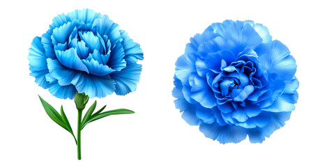 Vibrant blue carnation flowers nature's beauty digital art botanical environment close-up view floral concept