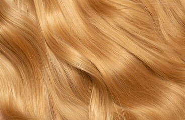 Wall Mural - Blond hair close-up as a background. Women's long blonde hair. Beautifully styled wavy shiny curls. Hair coloring. Hairdressing procedures, extension.