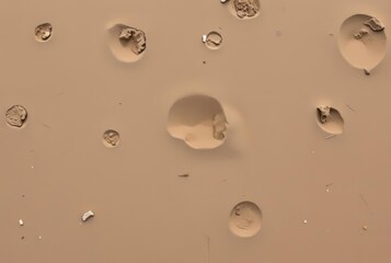 Wall Mural - Earth scattered in small irregular lines like the remnants of a