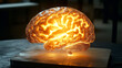 © Serhii - Illuminated brain sculpture showcasing creativity and innovation in a modern art setting