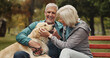 © Coetzee/peopleimages.com - Dog, outdoor and old couple on bench, smile and conversation with animal lover. Park, pet and happy senior man with old woman, bonding together and relationship with break, relax and retirement