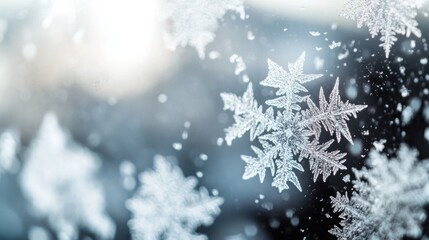 Poster - Intricate Snowflake Pattern on a Window Pane