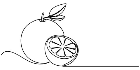 Aufkleber - Orange continuous one line drawing. Isolated on white background vector illustration, orange citrus line drawing, Orange fruit flat and line art illustration. A continuous one-line drawing of Orange 