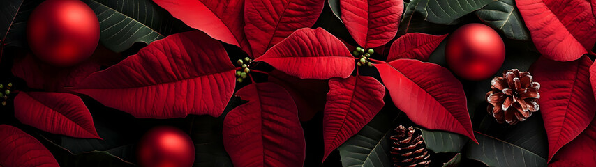 Wall Mural - Abstract background with red Poinsettia leaves. Horizontal composition, banner.