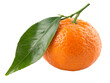 © Dmitry - Whole mandarin fruit with a fresh green leaf on a transparent background