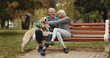 © peopleimages.com - Dog, park and old couple on bench, relax and conversation with animal lover. Outdoor, pet and senior man with mature woman, bonding together and relationship with break, happiness and retirement