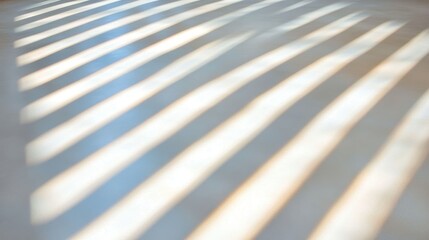 Poster - Journey From Darkness to Brightness With Gentle Light Patterns on the Surface