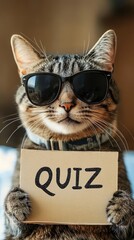  Cool Cat Quiz:  A  stylish tabby cat, sporting shades, holds a sign that reads 
